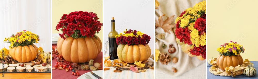 Wall mural Set of beautiful autumn floral composition with pumpkin and chrysanthemum flowers