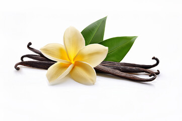 vanilla sticks and vanilla flowers and plumeria flower isolated on white background