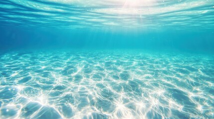 Beneath the surface, sunlight dances through crystal clear ocean waters, creating a serene, inviting atmosphere in the aquatic environment