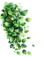 Tax refund check clipart, payday windfall, watercolor illustration, defined outlines, green check, isolated on white background