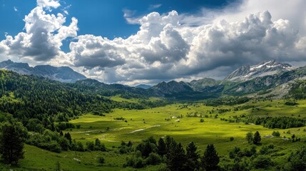 Obraz premium Stunning Mountain Valley Landscape