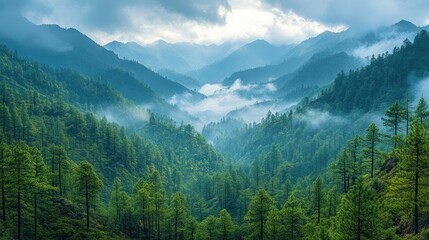 Obraz premium Misty Mountain Landscape