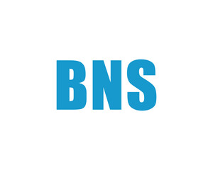 BNS logo design vector template. BNS