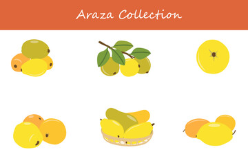Araza fruit collection in different poses. Vector illustration.