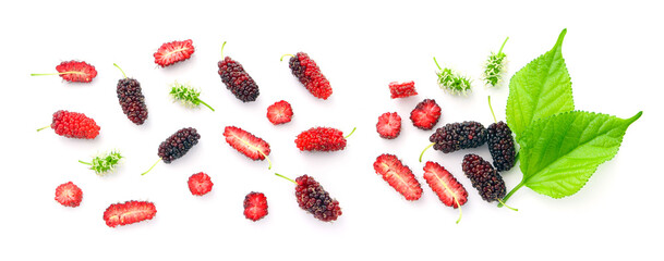 Mulberry fruit pattern isolated on white background , top view.