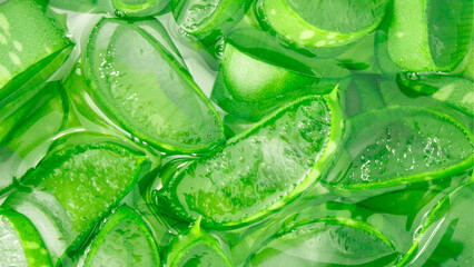 Aloe vera slices soaked in water texture for background , aloe gel skin care concept.