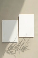 식물 그림자와 빈 카드 목업