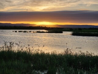 St Lawrence Wetland in Queensland Australia