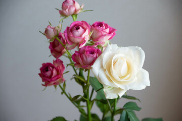 薔薇の花束