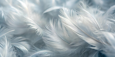 Fototapeta premium Azure Dreams: Soft, downy feathers in ethereal blue hues create a tranquil and serene abstract background.
