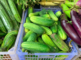 fresh green cucumbers in a basket for sale at the market