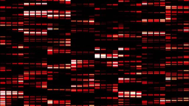 Red and black DNA sequencing animation with glowing bars