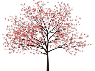 A single cherry blossom tree with pink flowers blooming on its branches against a white background.