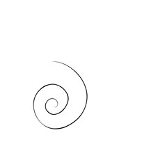 Spiral Swirl Thin Line 