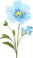 Fototapeta premium forget me not flowers 