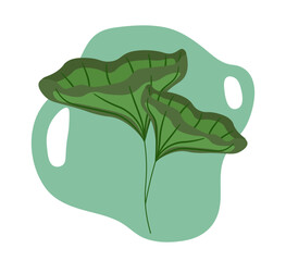 Minimalistic tropical leaves. Bloom and blossom exotic plants. Jungle and rainforests flora. Minimal artwork. Graphic element for website. Linear vector illustration