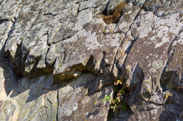 Obraz premium A close-up view of an old and weathered rock. Abstract background for various uses.