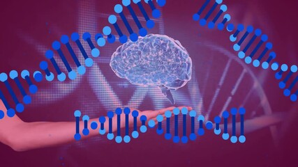 Animation of scientific data processing, dna strands and human brain over hand - Powered by Adobe