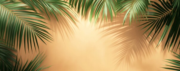 ベージュの背景にヤシの葉の影