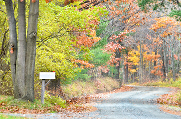 Full autumn colors surrounding a rural mailbox along a New England country road