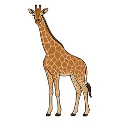 Cute Giraffe Vector Illustration. Wild Animal Clipart for Kids and Educational Materials