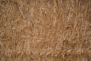 Natural straw texture used for agricultural purposes in rural settings during daylight hours