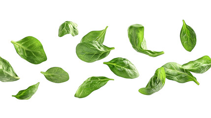 Fototapeta premium Green Spinach Leaves Abstract Glitch Background