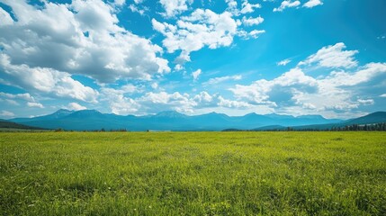 Endless Meadow
