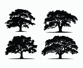 Oak tree silhouette EPS vector file illustration template