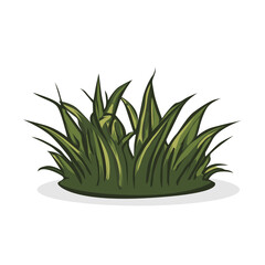 Grass Illustration Vector Isolated on White Background. Green Bushes Vector Illustration. Illustration of Grass.