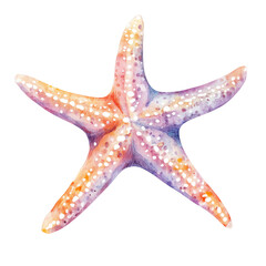 A colorful starfish.
