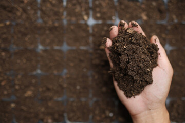 farmer's hand preparing seedling tray with soil for growth