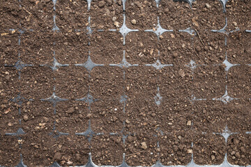 top view of soil prepared in seedling tray for vegetable gardening