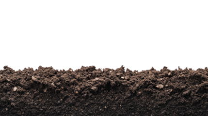 land on a transparent background