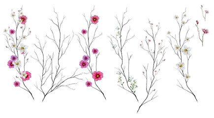 watercolor painting of leaves and flower, on white background