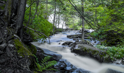 Waterfalls in scenic Ricketts Glen state park, Pennsylvania in summer time.