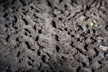 Close up tire tracks on the muddy road.