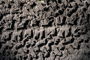 Close up tire tracks on the muddy road.