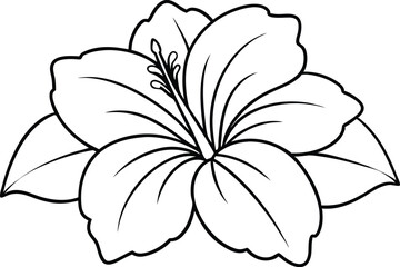 Tropical Hibiscus Flower Coloring Page - Cartoon Vector Illustration, Logo Icon, Clipart Design, Line Art, Silhouette 