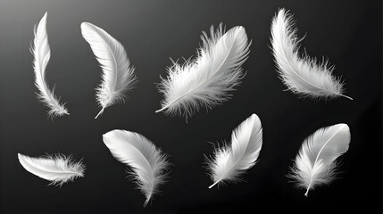 Obraz premium A collection of white feathers displayed in various orientations on a dark background.