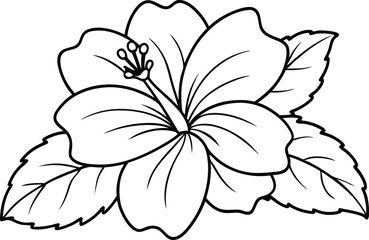Tropical Hibiscus Flower Coloring Page - Cartoon Vector Illustration, Logo Icon, Clipart Design, Line Art, Silhouette 