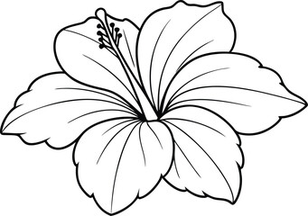 Tropical Hibiscus Flower Coloring Page - Cartoon Vector Illustration, Logo Icon, Clipart Design, Line Art, Silhouette 