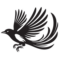 Obraz premium American magpie Clipart - Black-billed Magpie Vector Illustration in black and white 