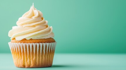 Vanilla Cupcake with White Frosting on Mint Green Background
