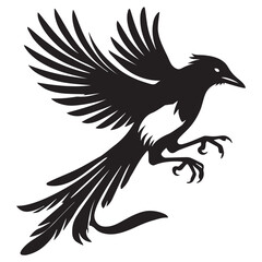 Fototapeta premium American magpie Clipart - Black-billed Magpie Vector Illustration in black and white 