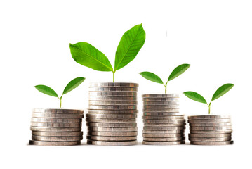 Green leaf plant on save money coins, Business finance saving banking investment concept.