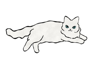 白猫　猫のイラスト　ベクター