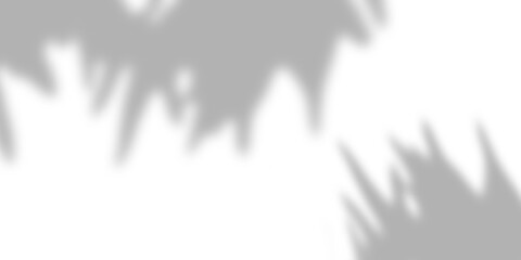 White wall background and tree leaves soft shadows. Natural pattern, gray shadow. Copy space