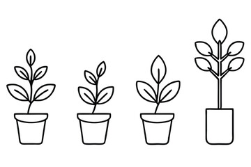 Growth Line Art Illustration for Modern Projects (1)