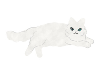 白猫　猫のイラスト　ベクター